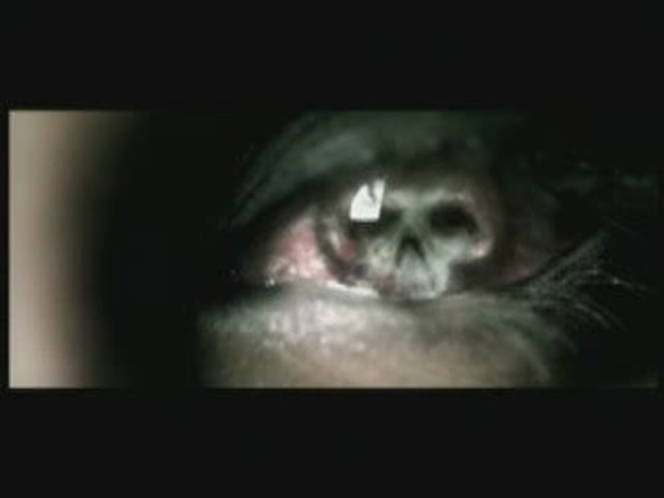 Bloodlywing feat.Tarja Turunen - Nemo