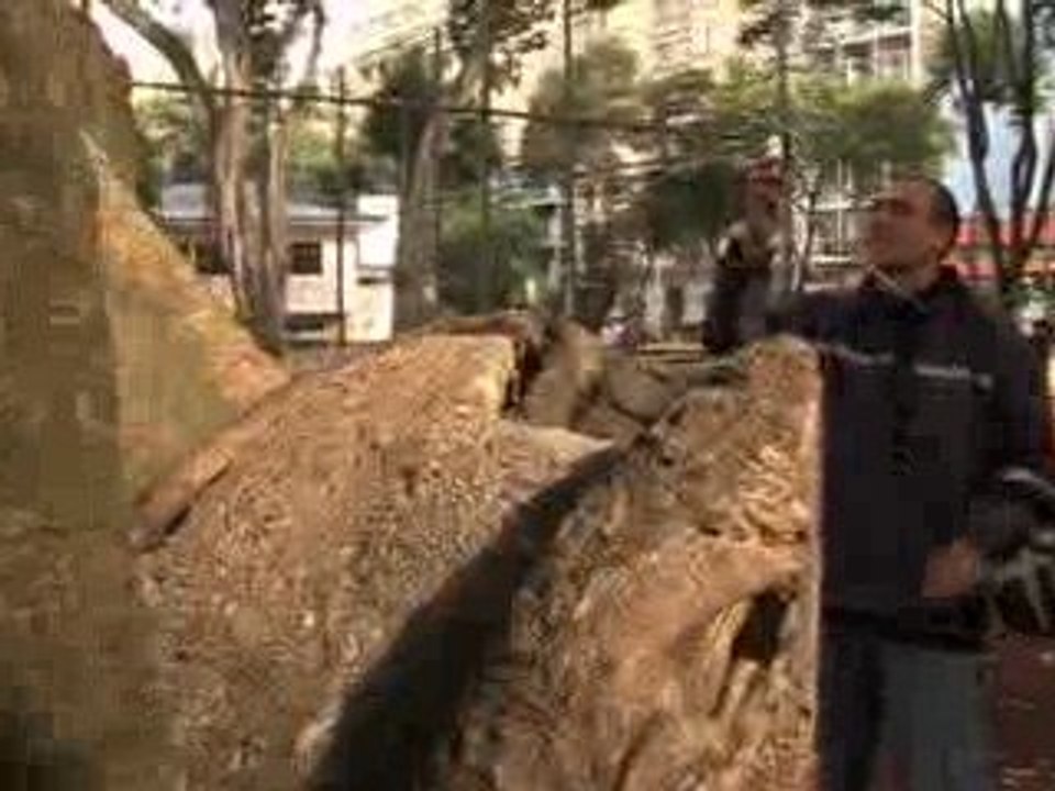 Les guerriers du bitume