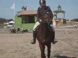 SILANCER du COSTIL-G à la finale des mâles de 3 ans