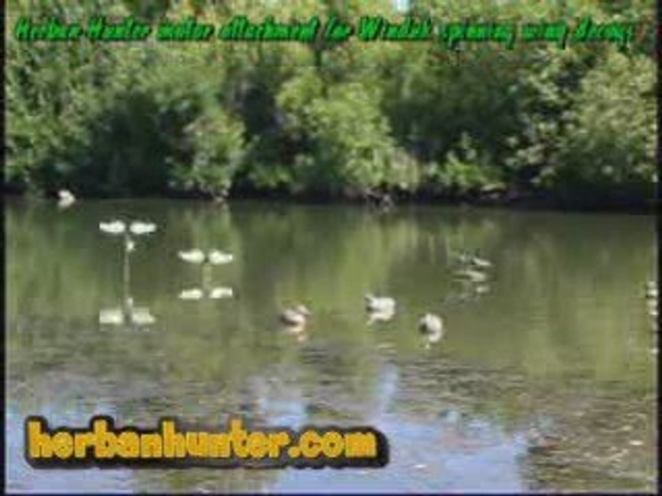 Motorized Duck Decoy