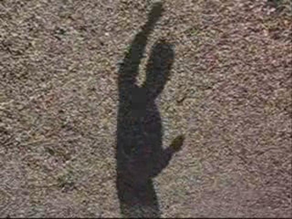 Druid Son - Ellyptic (radio edit)