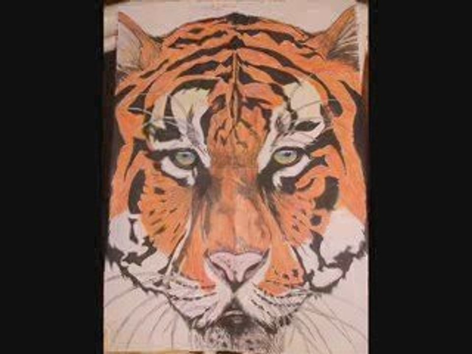 Vidéo scandale + dessin...