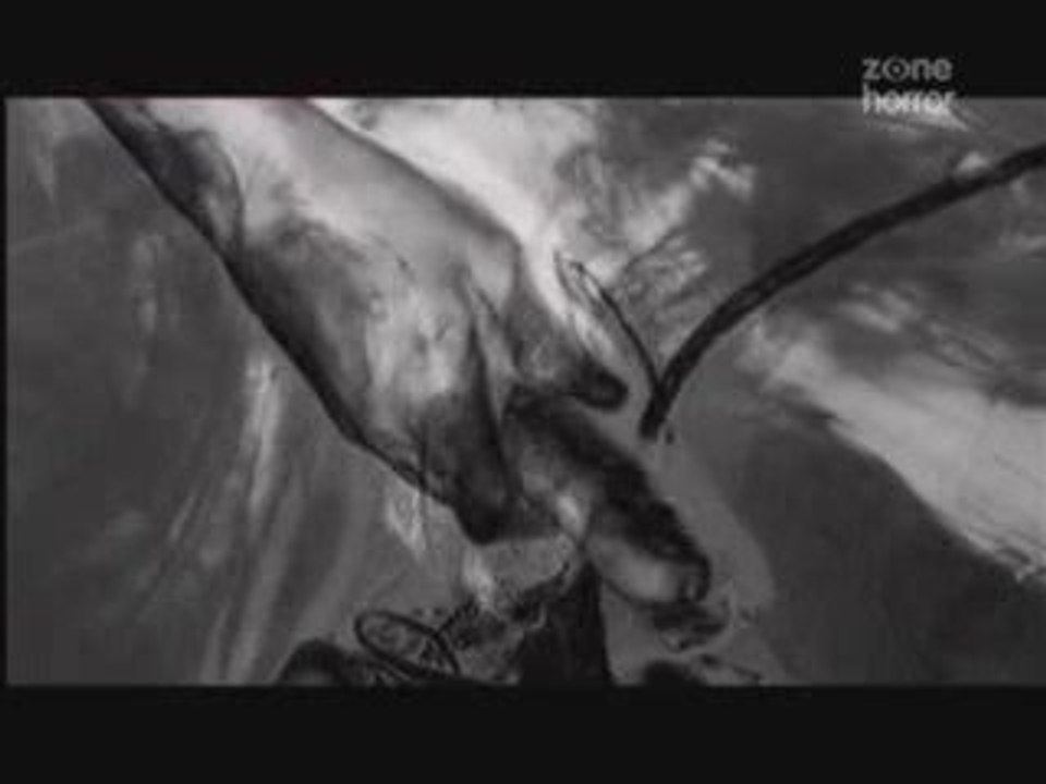 Torn Flesh