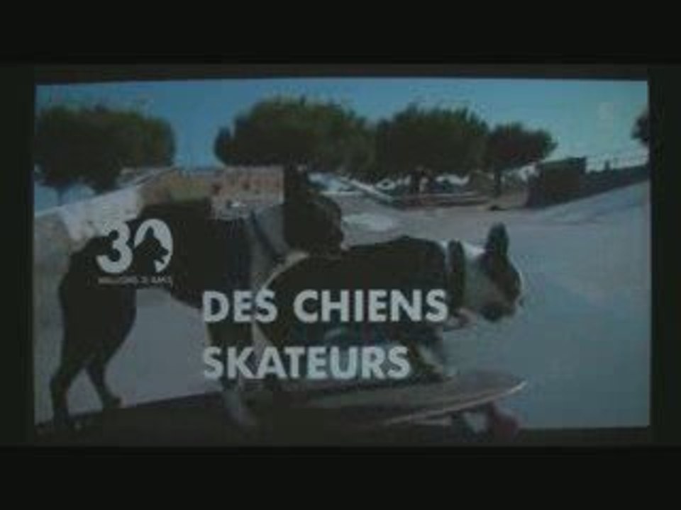 TV Show "30 Millions d'Amis"