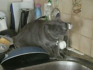 13ème vidéo de Sacha Coeur d'Velours