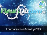 Vidéo concours IndoorGrowing 2009 - FIN