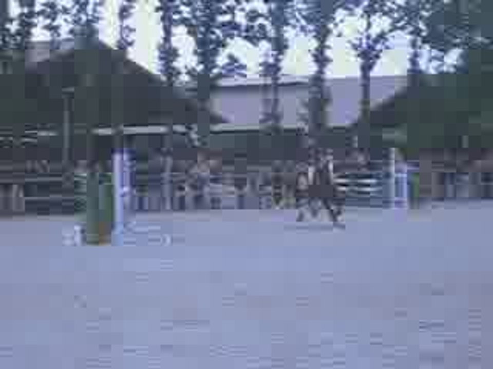 Paddy des Chouans Championnat de France 2008 D3P