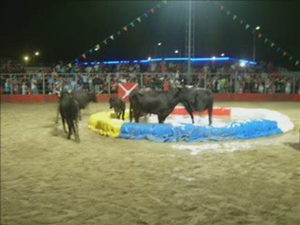 toro_piscine