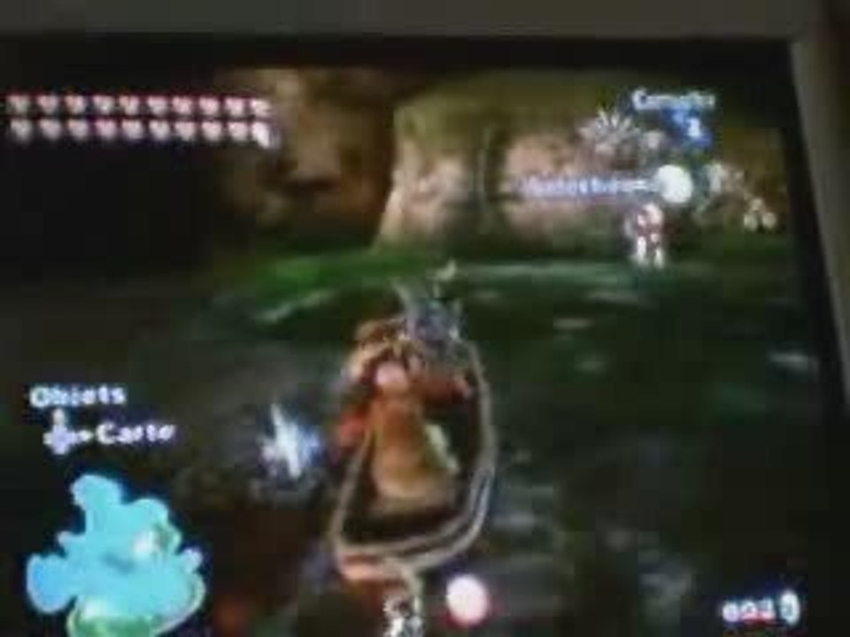 Message buggué - Zelda Twilight Princess