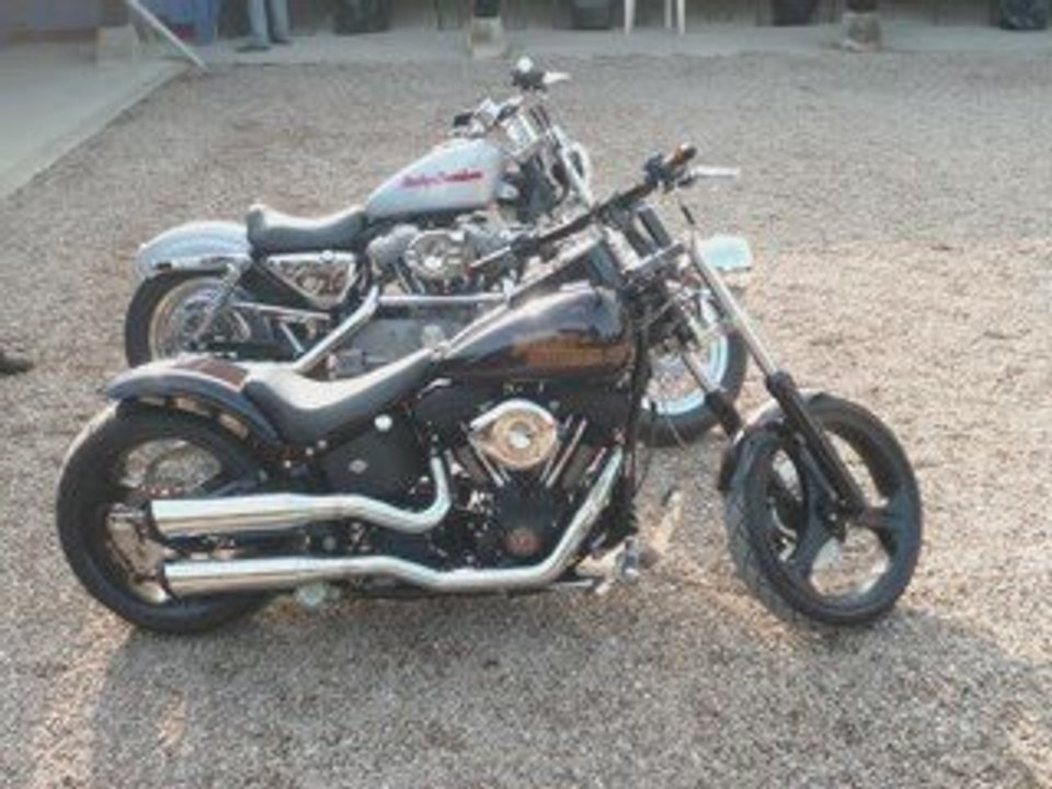 ...fete baleine. juin .2009