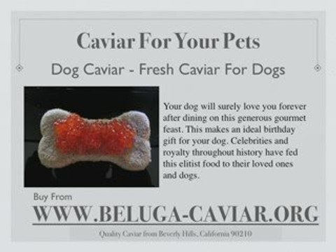 The different types of Caviar to buy online