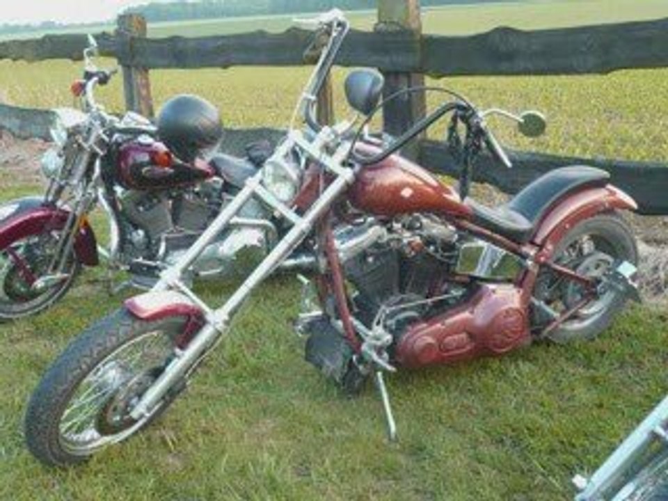 ....fete baleine juin 2009