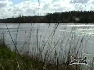 Happy Face - Prophétie Des Fouines