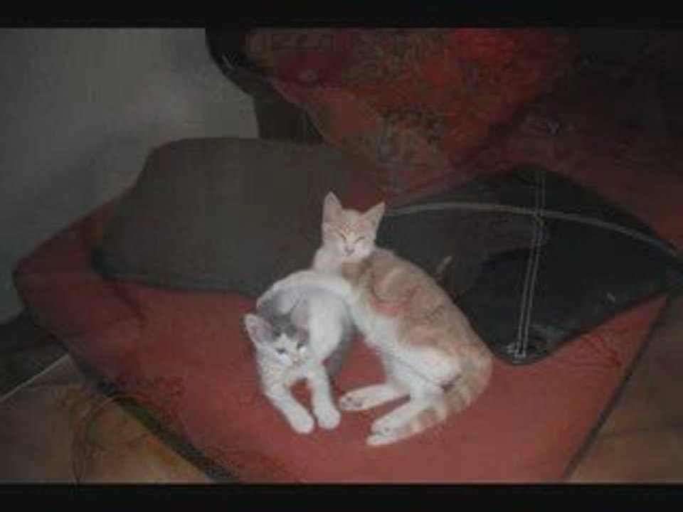 blanche & ben