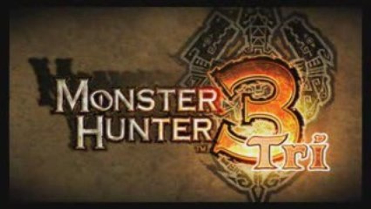 Monster hunter 3