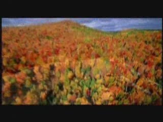 La Terre vue du ciel - Bande-annonce