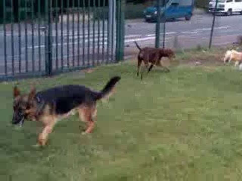 Bibi Edine et Duke