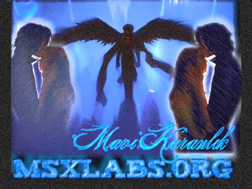 Seviyorum  seni anla