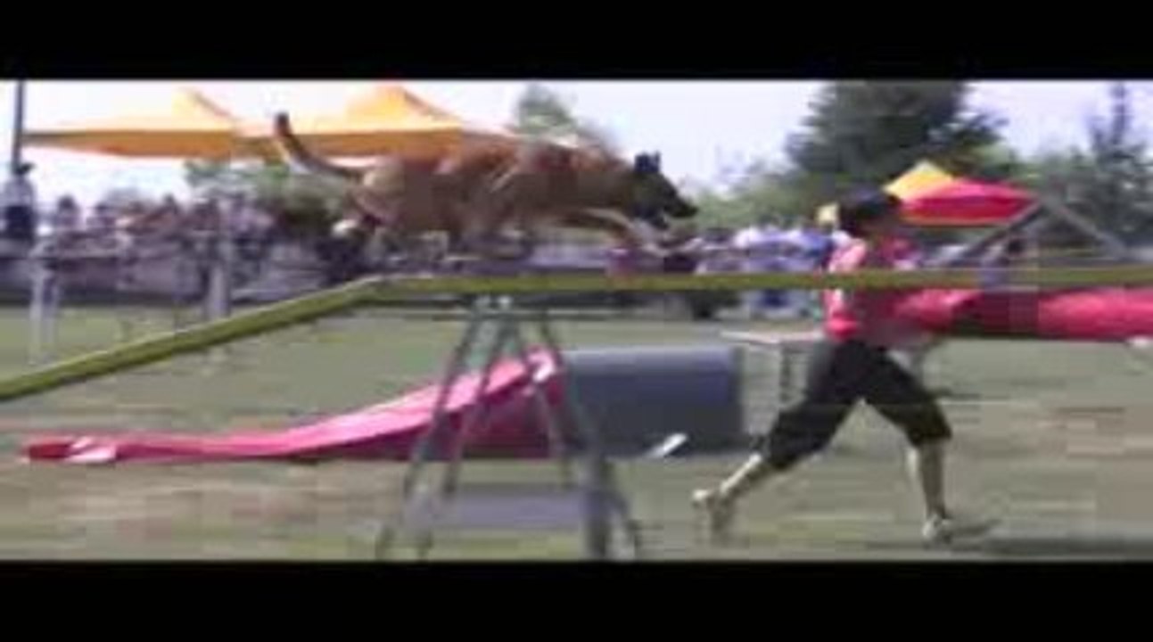 Sindbad GPF Agility Belleville 13/09/2009