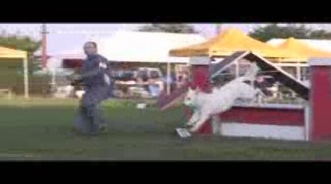 Thao Open Agility Belleville 13/09/2009