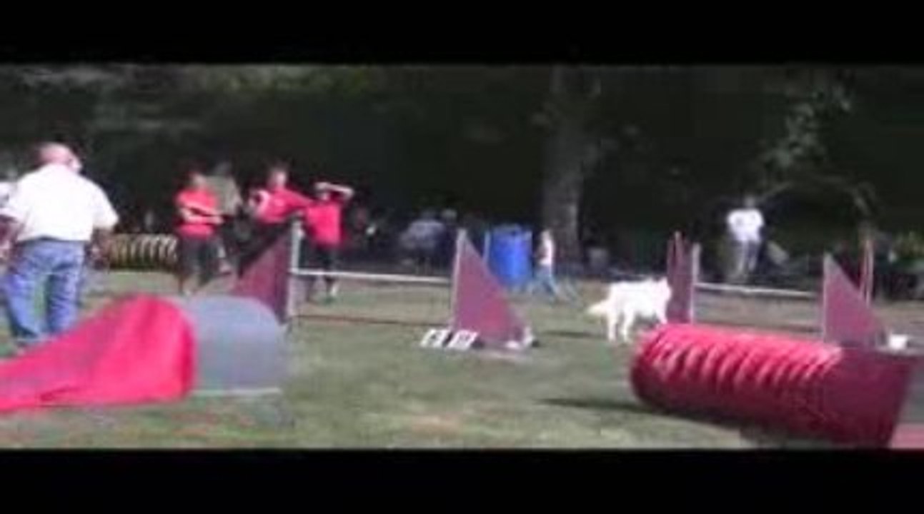 Thao Degré Agility Belleville 13/09/2009