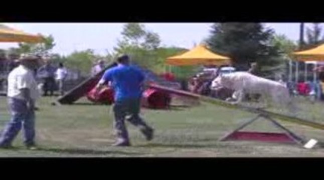 Thao GPF Agility Belleville 13/09/2009