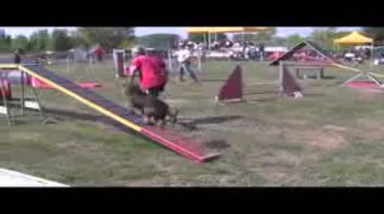 Union Degré Agility Belleville 13/09/2009