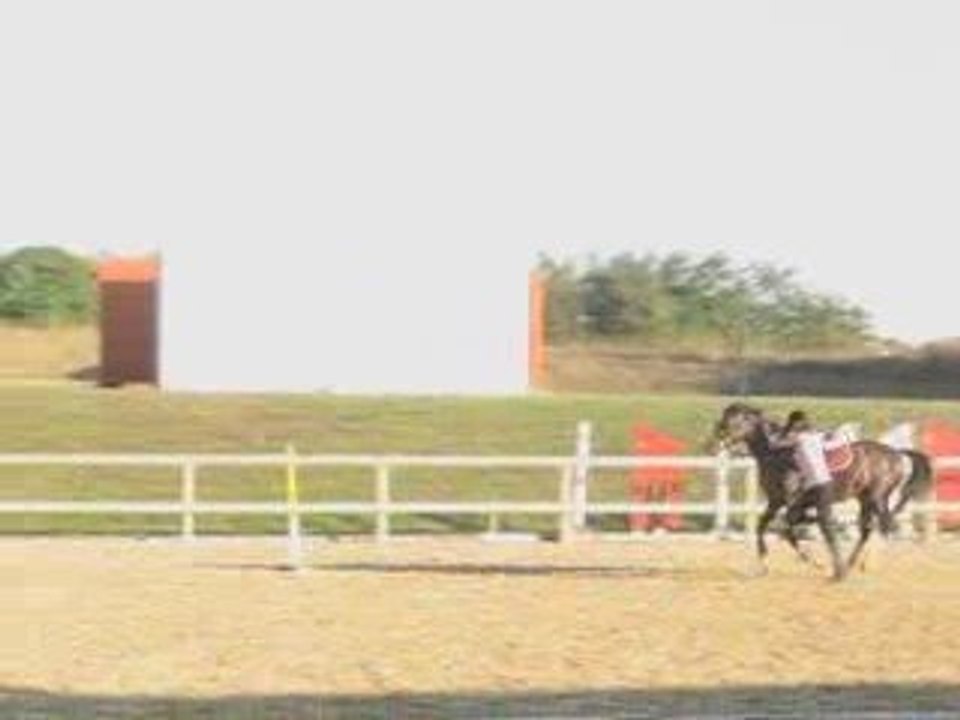 A terre à Cheval