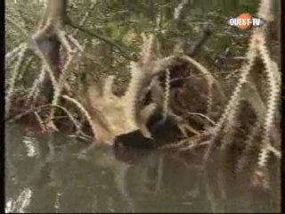 Wari - Dimanche 13 septembre 2009