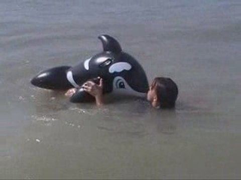 Parodie d'une journée type de soigneur orque by mi cerveaux