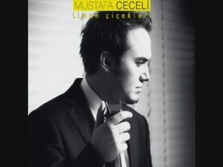 mustafa ceceli-limon çiçekleri