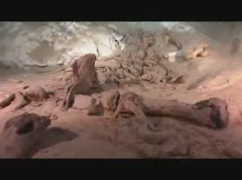 Cave Diving Exploration | Cave Diver Documentary