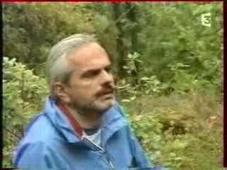 Rennes le Chateau, Des Racines et des Ailes, 2eme partie