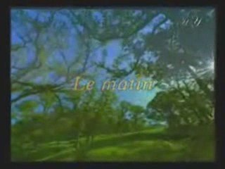 Miracles du Coran, Processus de Photosynthèse