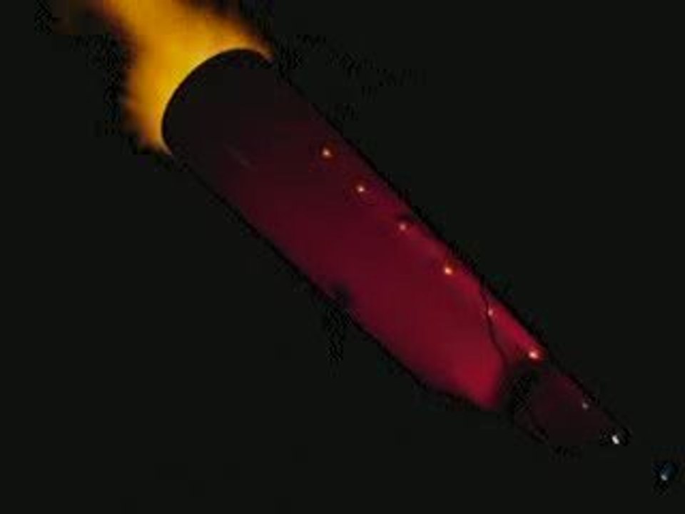 carter feles  bol d'or 2009