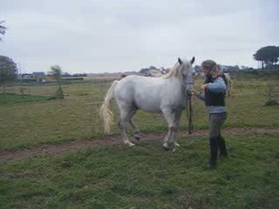 enchainement hanches épaules