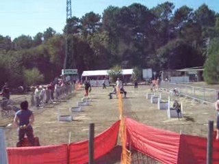 brassage 2 chiens fly concours ccpm2009 138