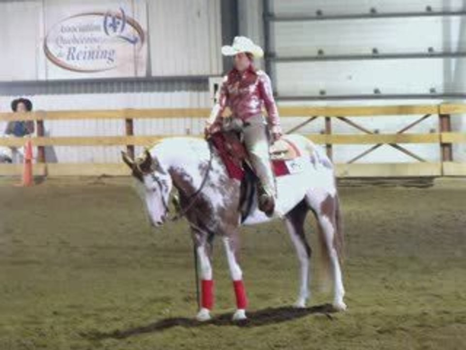 compétition de reining AQR et P-Q et futurité 2009