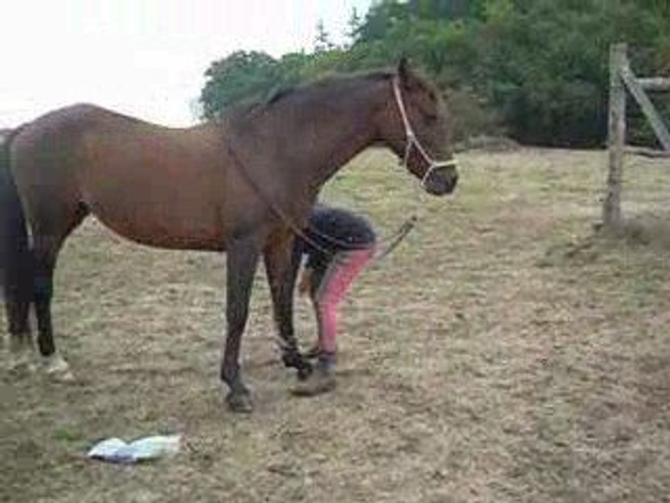 vidéo révérenceseptembre 2