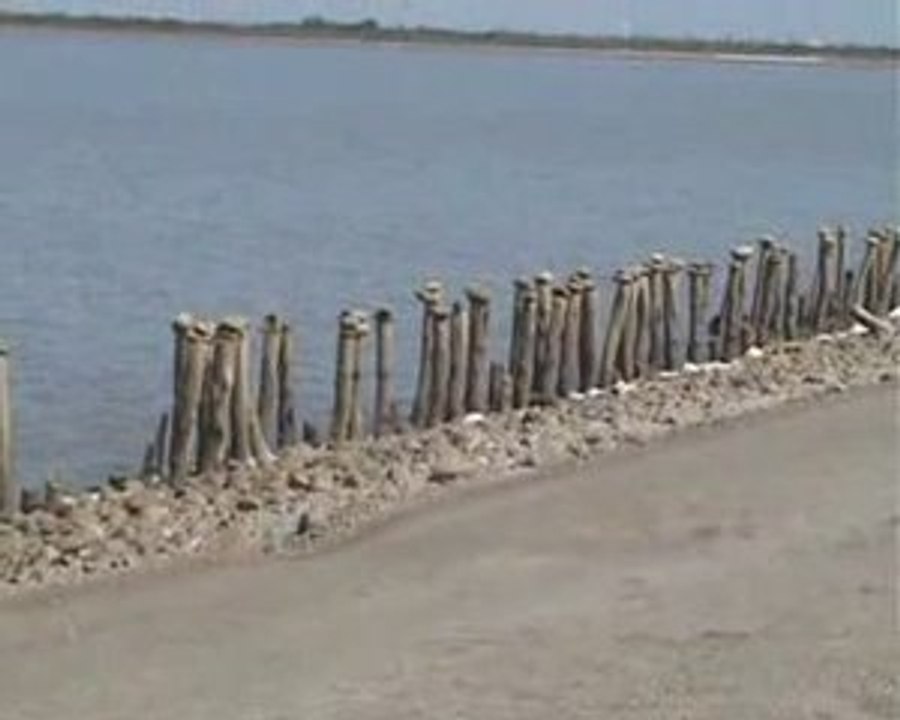 la bassine n 'est pas une pataugeoire !