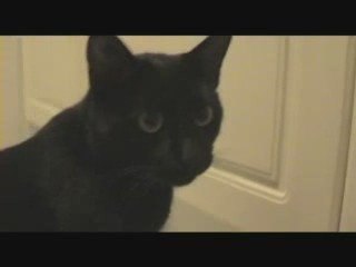 Aramis et le fantôme de l'appartement