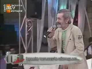 ulan seviyorum seni bee