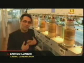 El aparato Digestivo