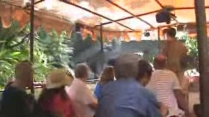 jungle cruise captain chris