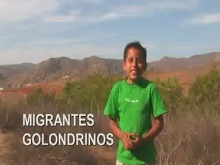 Ventana a mi comunidad