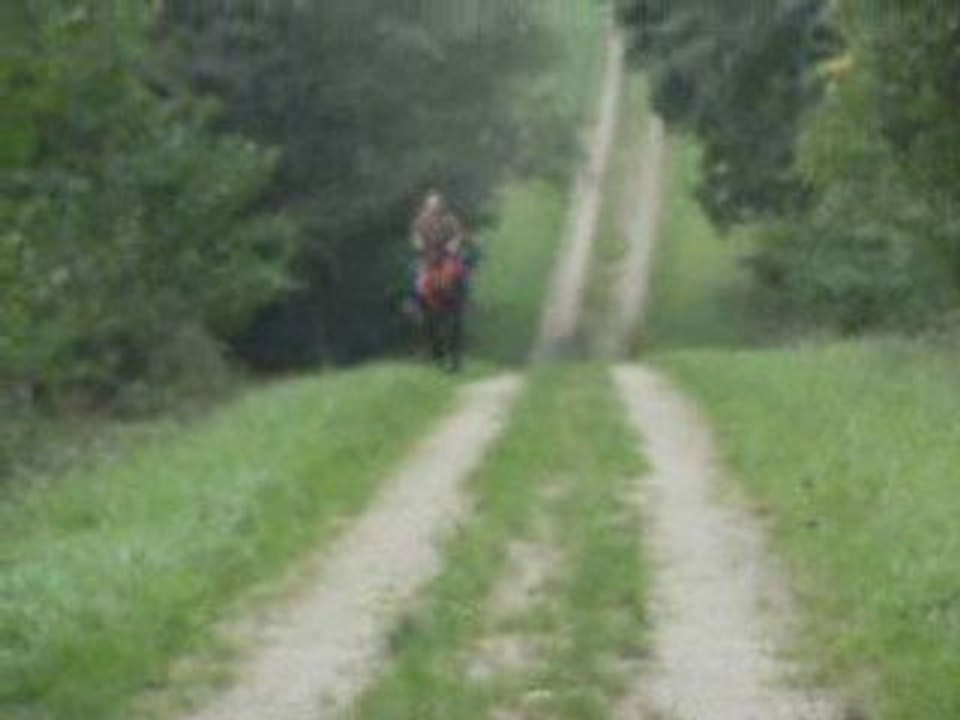soho dans les vosges