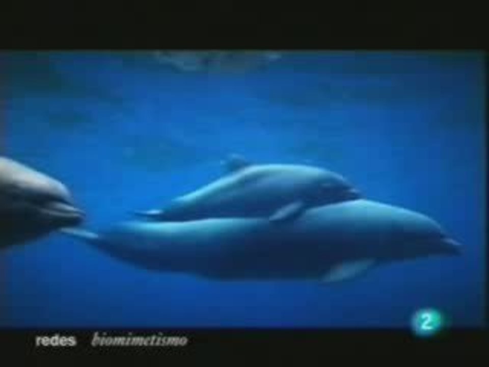 Biomimetica: Tecnologia que imita a la naturaleza