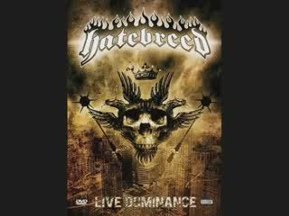 hatebreed or jonas borthers
