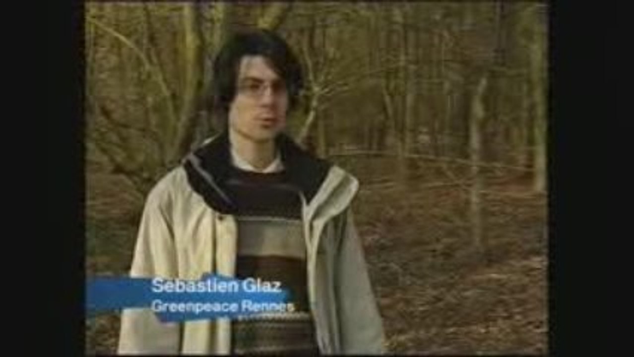 Le mobilier en bois (Flash conso 2008-2009) - Greenpeace