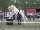 Fête du Cheval 13septembre 2009
